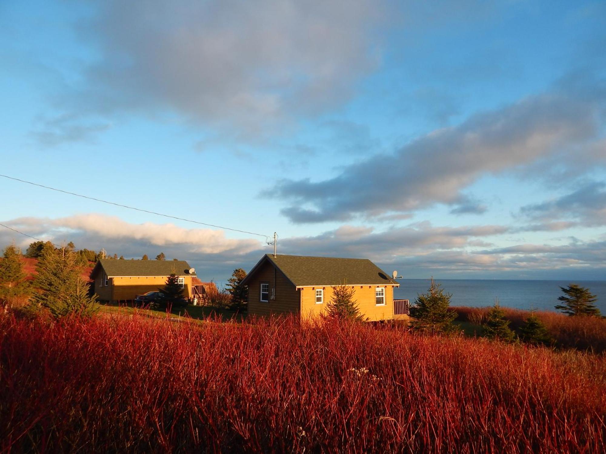 Les Chalets Brise-De-Mer Sainte-Therese-de-Gaspe Zewnętrze zdjęcie