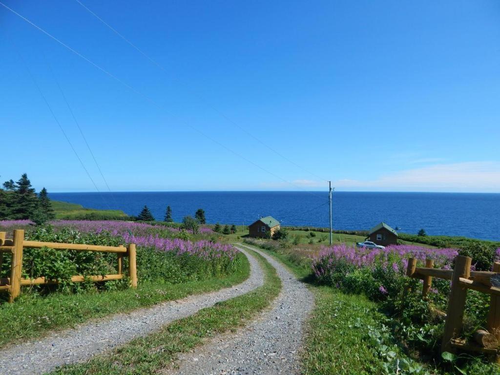Les Chalets Brise-De-Mer Sainte-Therese-de-Gaspe Zewnętrze zdjęcie