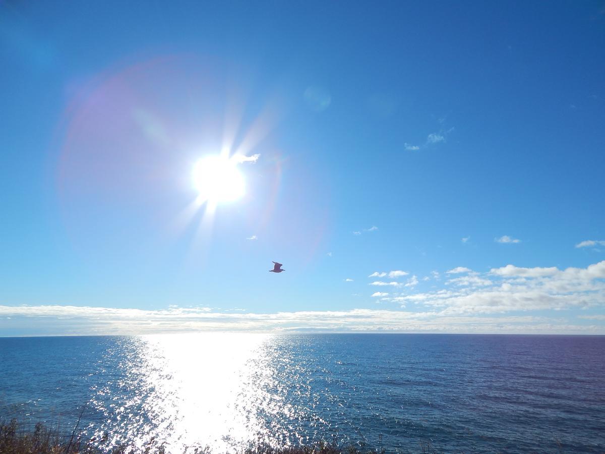 Les Chalets Brise-De-Mer Sainte-Therese-de-Gaspe Zewnętrze zdjęcie